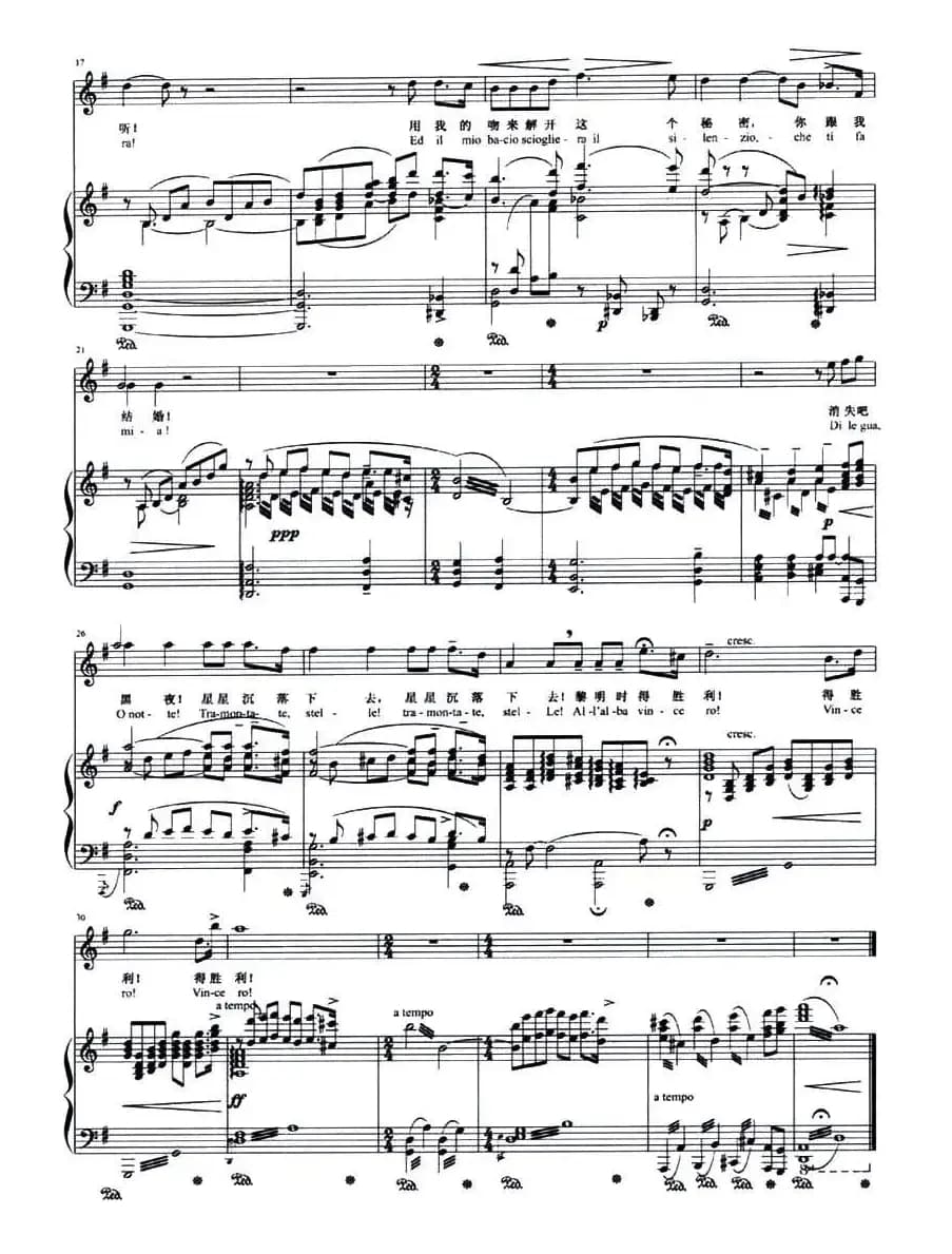 今夜无人入睡（歌剧《图兰朵》选曲、正谱）