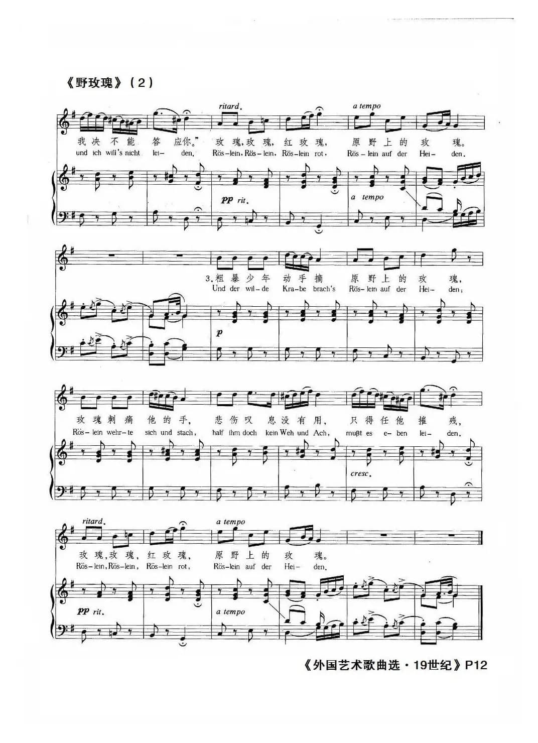  [奥]野玫瑰（正谱）