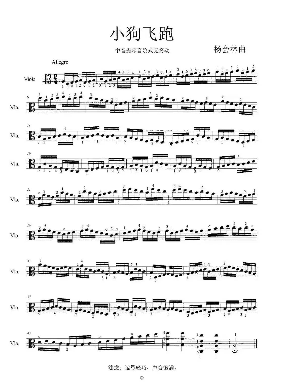 小狗飞跑（中音提琴音阶式无穷动）
