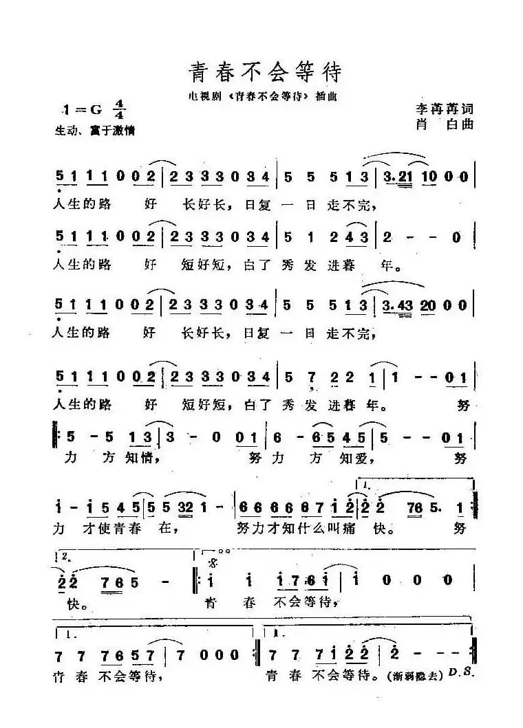 青春不会等待（同名电视剧主题曲）