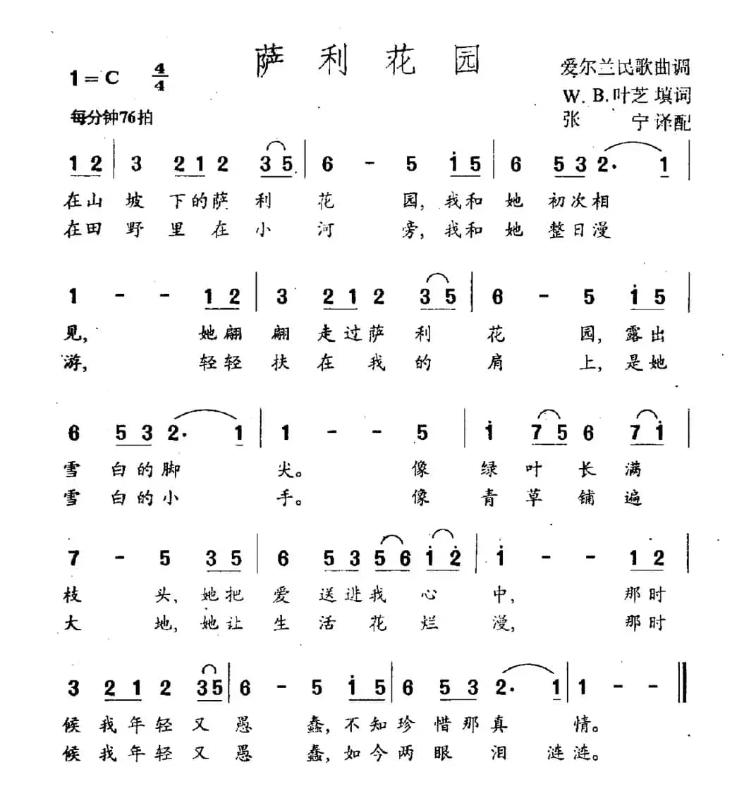 萨利花园（爱尔兰）