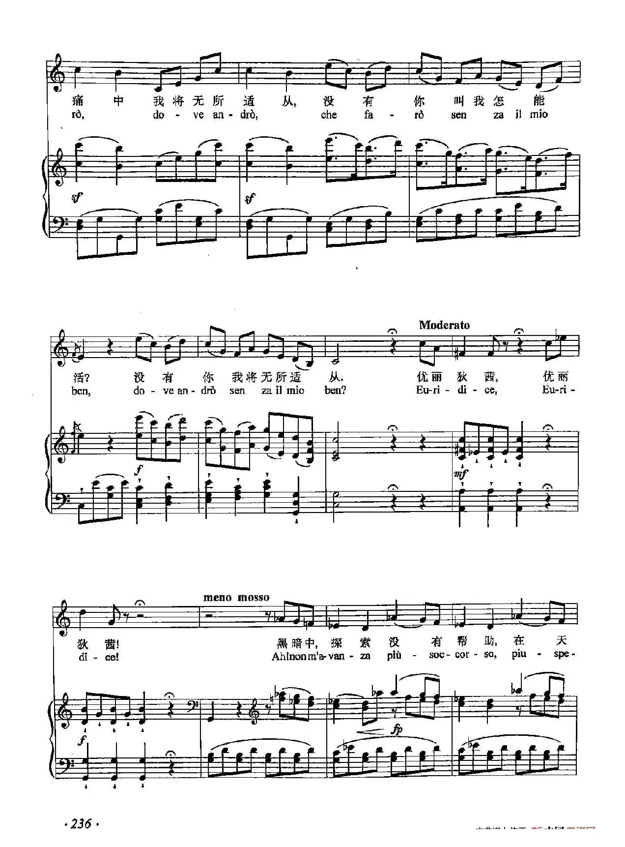 丁小琴编-70世上没有优丽狄茜我怎能活（正谱）