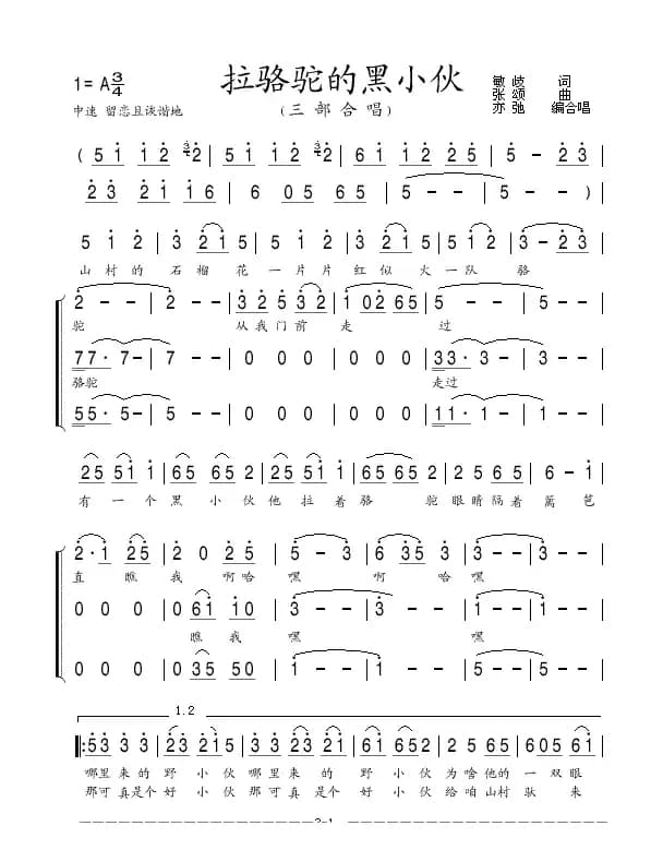 拉骆驼的黑小伙(亦弛改编）（三部合唱）
