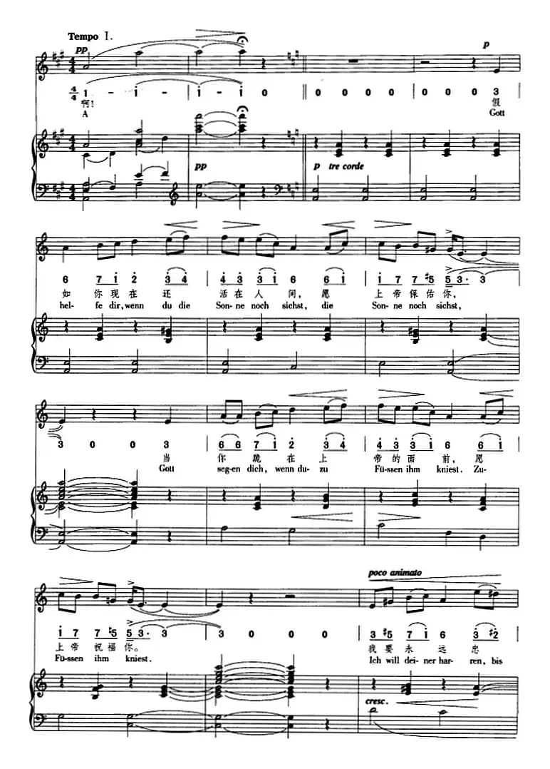 [挪威]索尔维格之歌（正谱、线简谱、中外文对照版）