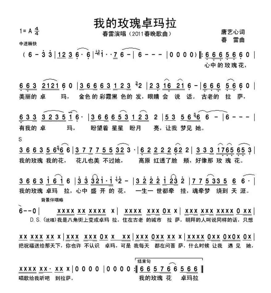 我的玫瑰卓玛拉