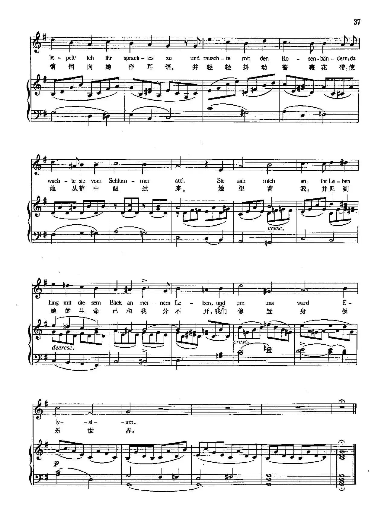 [奥]8蔷薇花带（正谱）