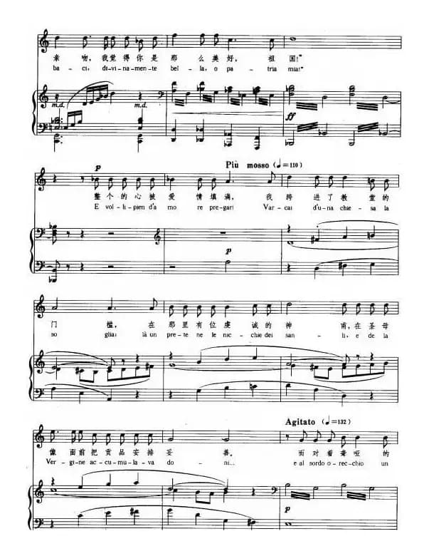 有一天我遥望天空（正谱 [意]）