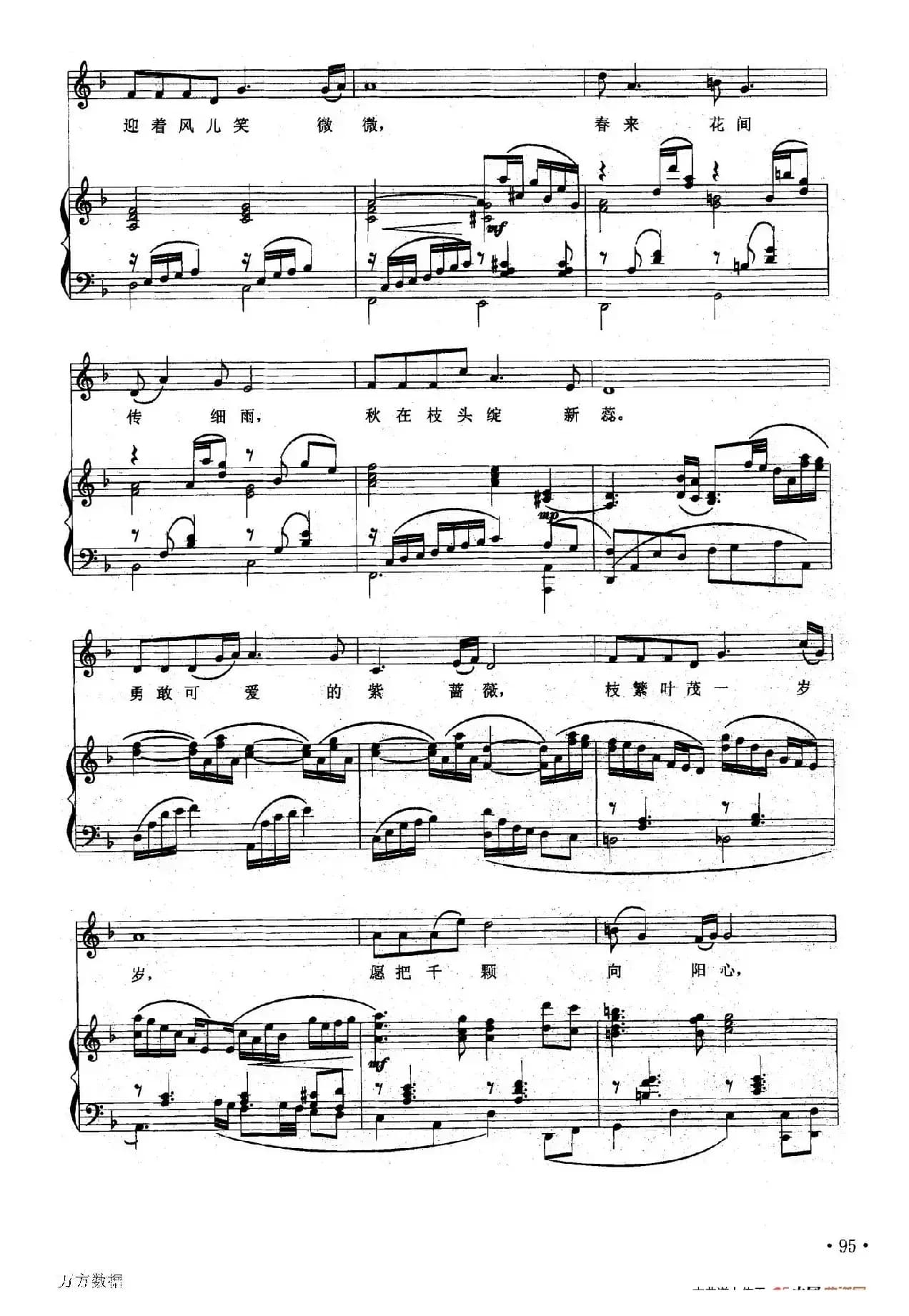 紫蔷薇（正谱）