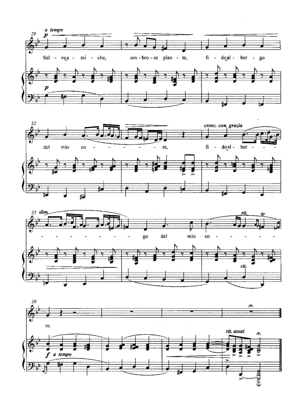 [意]友善的森林（正谱）