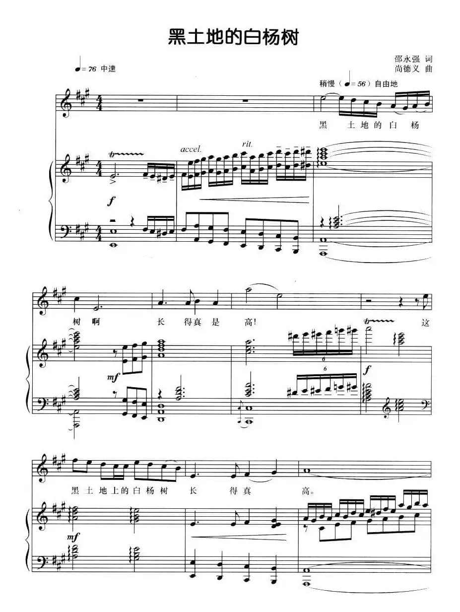 黑土地的白杨树（正谱）
