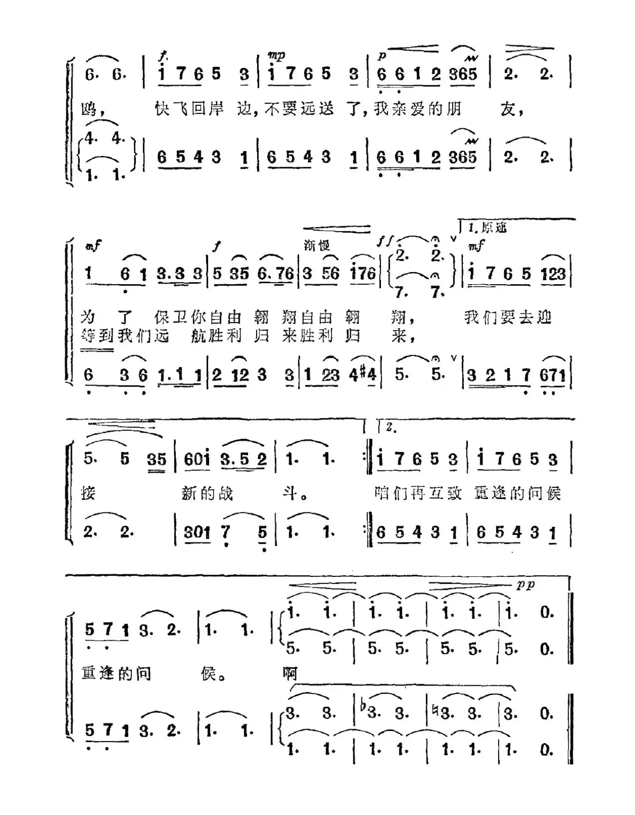 不要远送了，洁白的海鸥