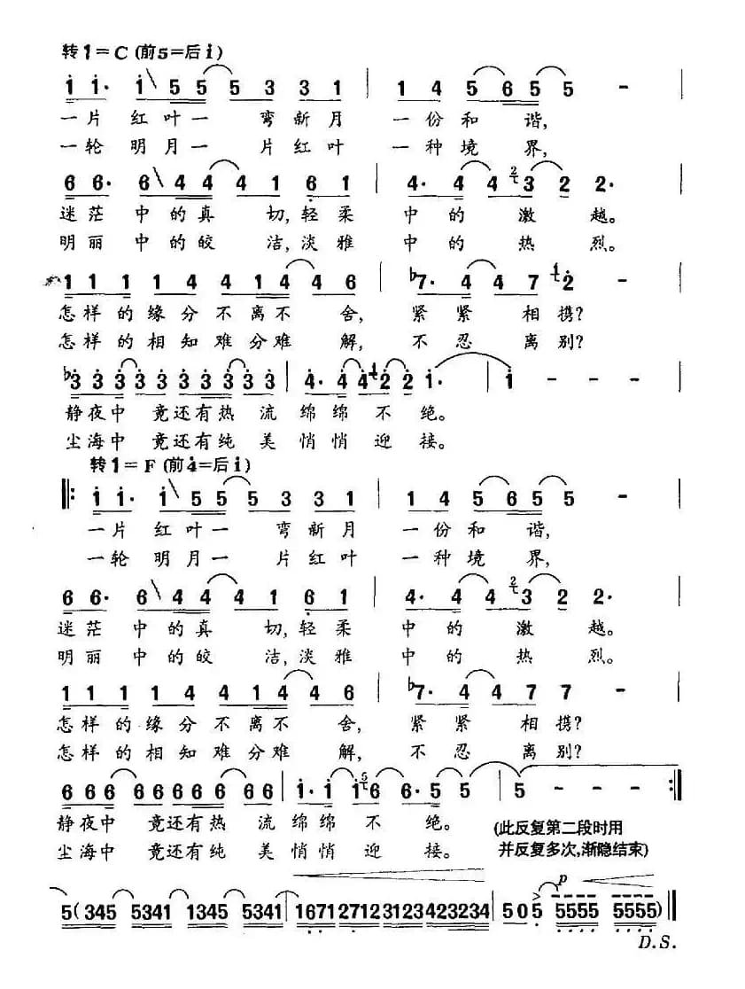 月光下的一片红叶