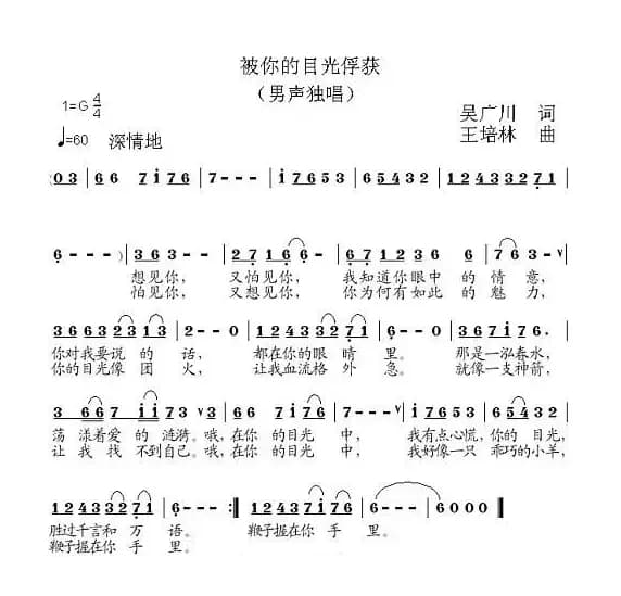 被你的目光俘获