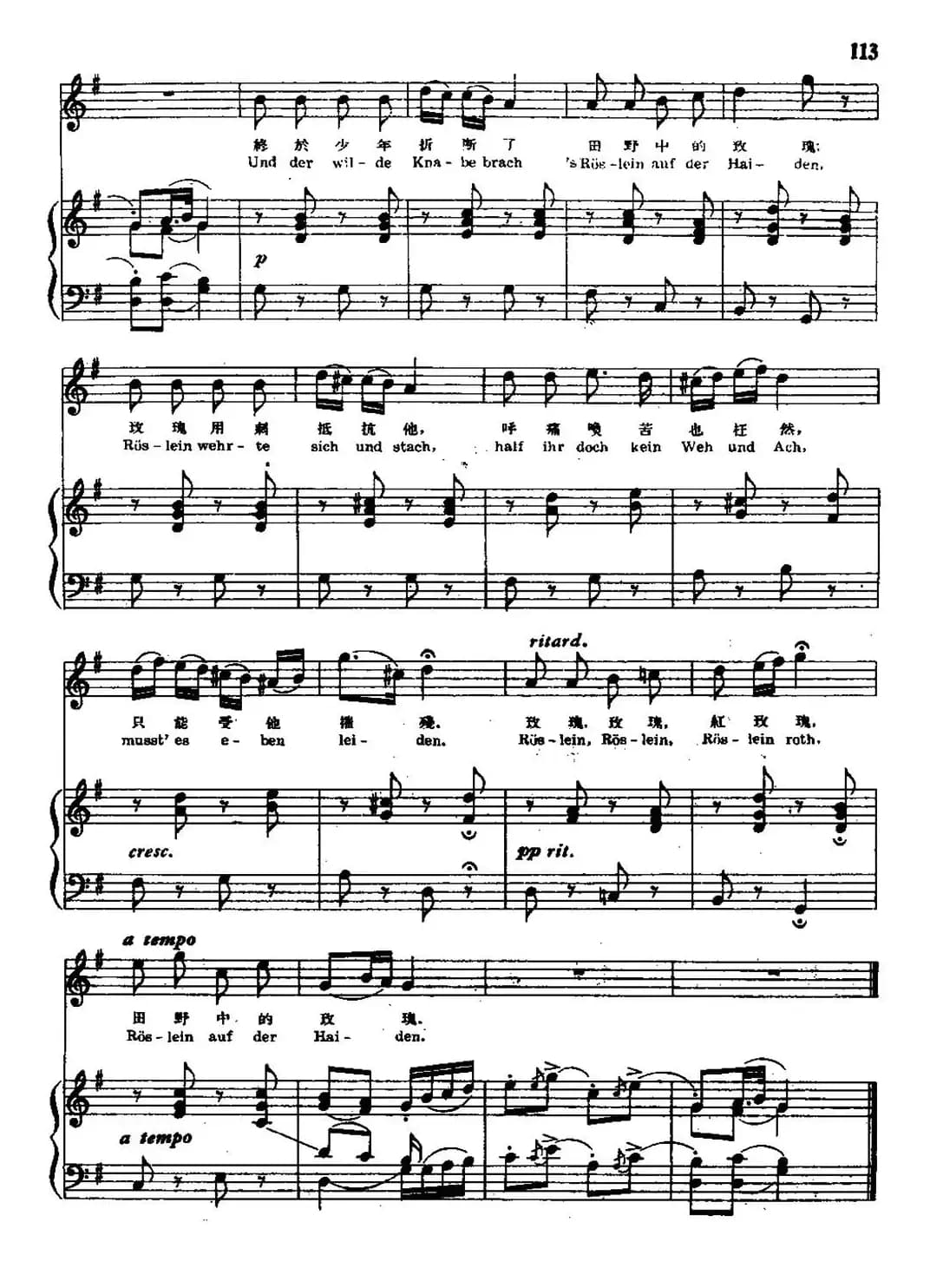 野玫瑰（中外文对照、正谱）