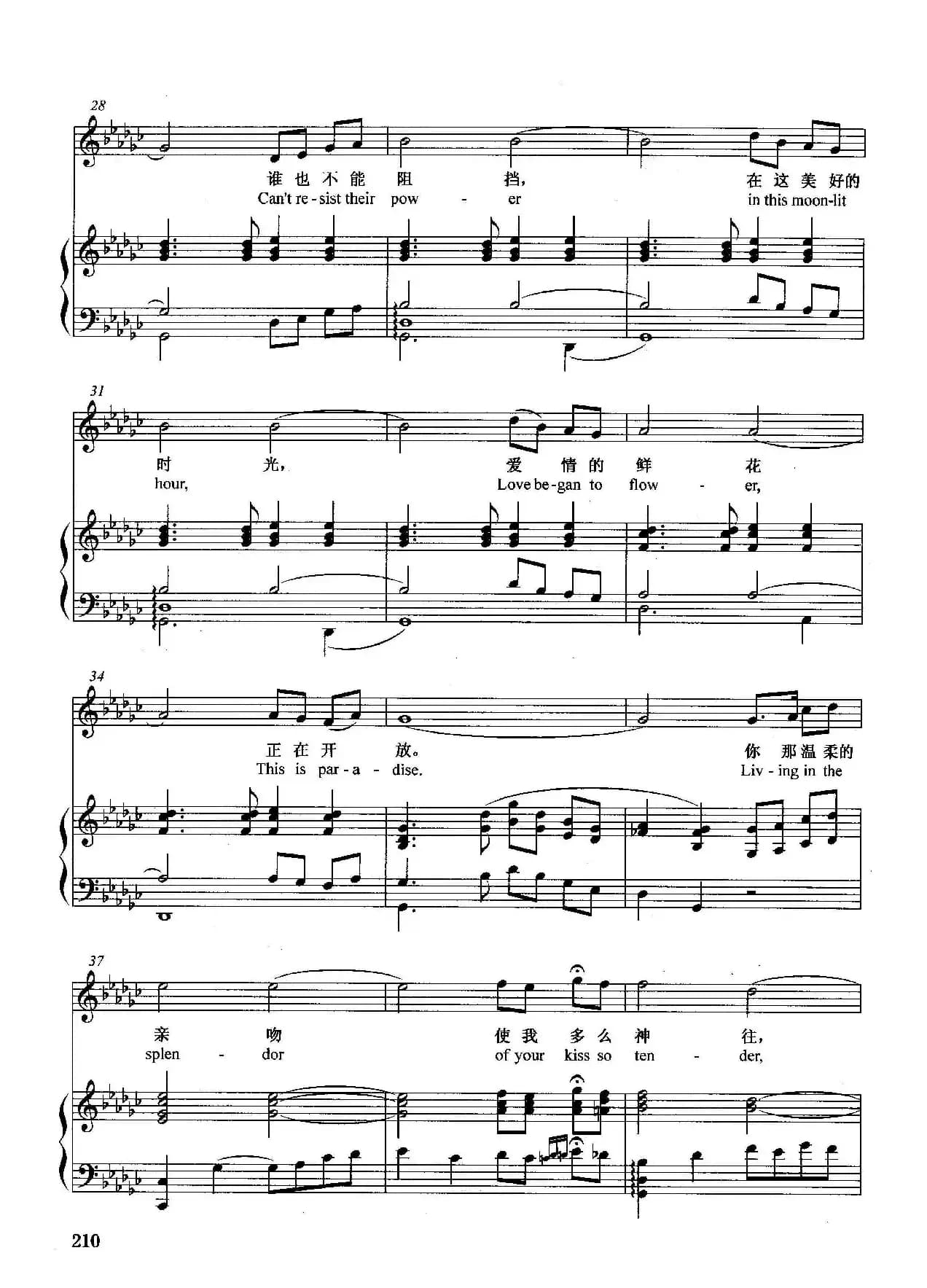 [英]月光的魅力（正谱）