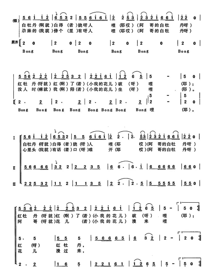 白牡丹白得绕人哩（简谱）