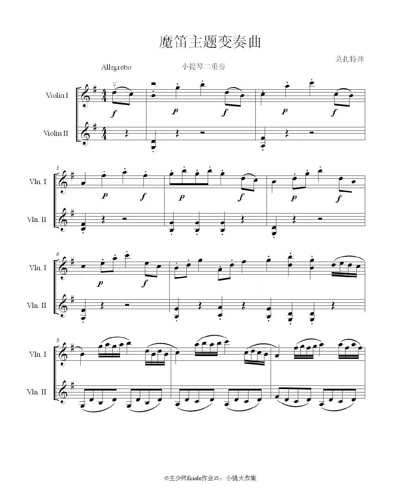 魔笛主题变奏曲（小提琴大提琴二重奏）
