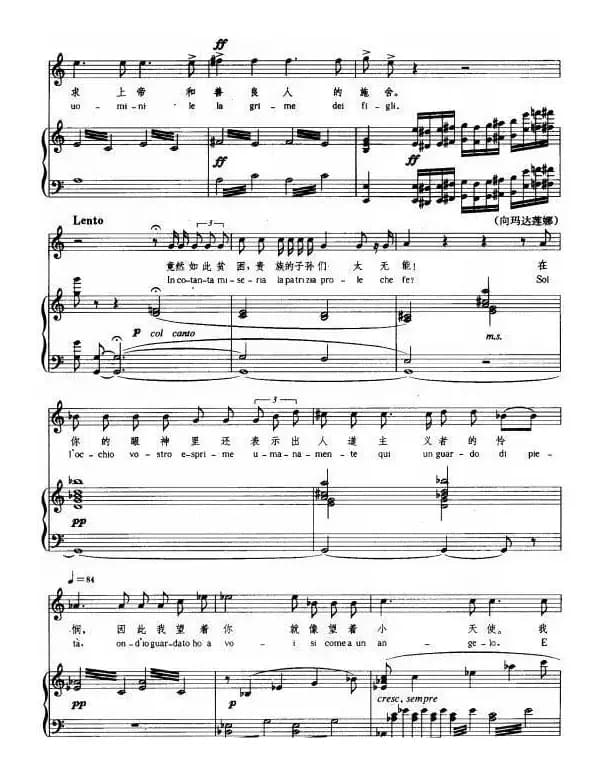 有一天我遥望天空（正谱 [意]）