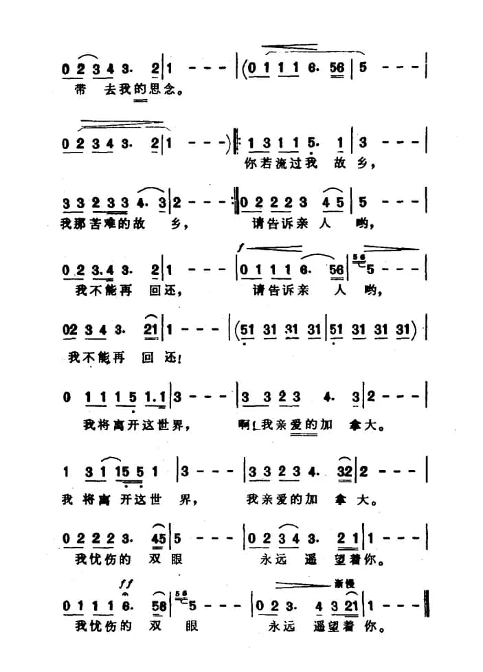 [加拿大]流浪的加拿大人