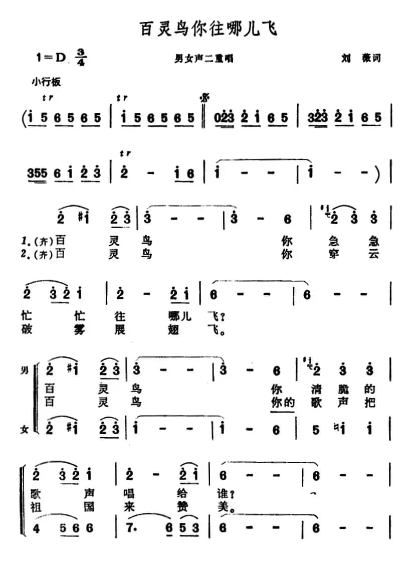 百灵鸟你往哪儿飞