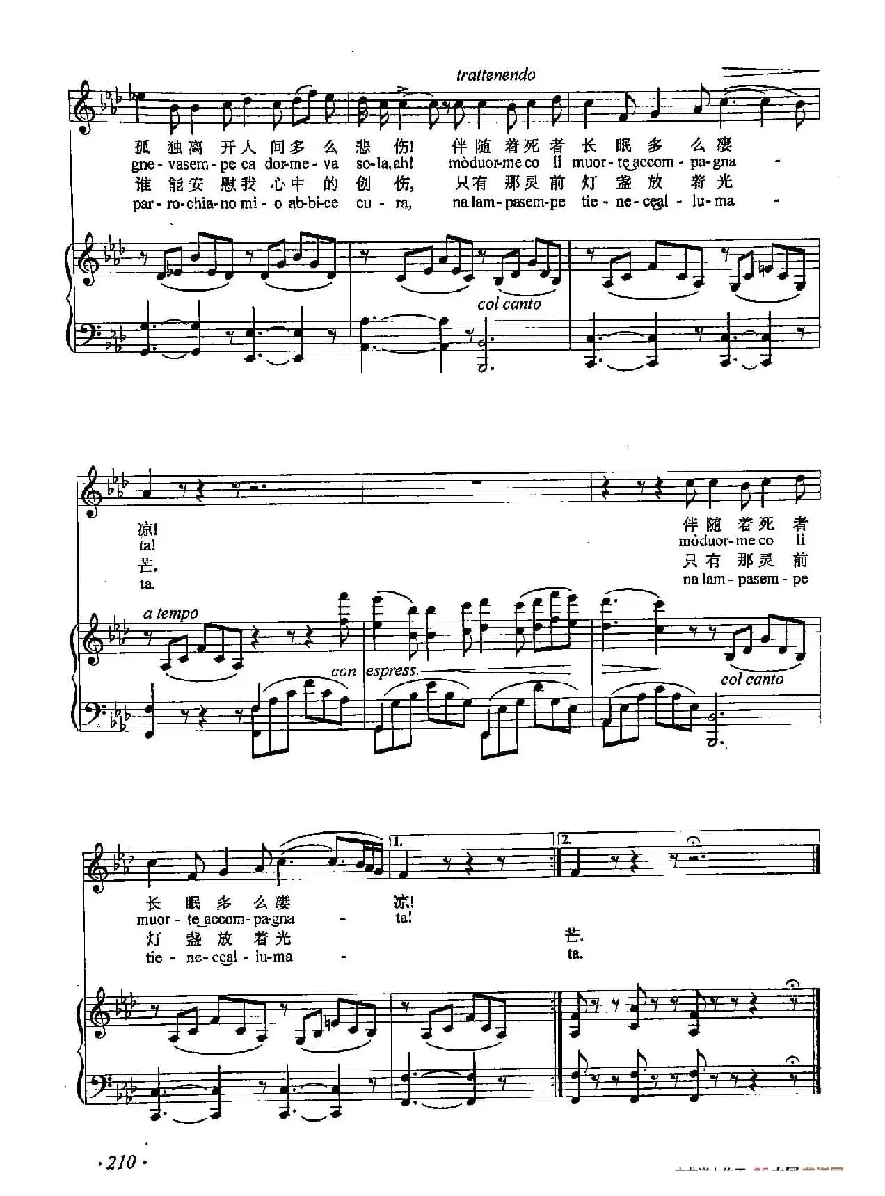 丁小琴编-66明亮的窗户（正谱）