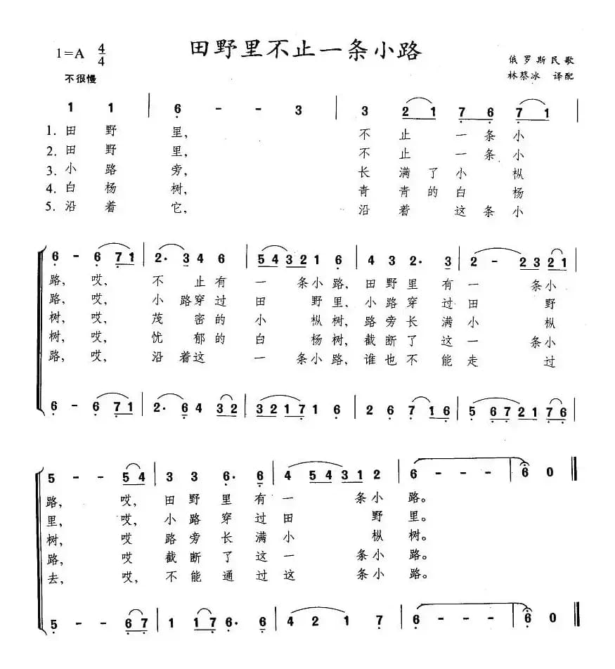 [俄]田野里不止一条小路