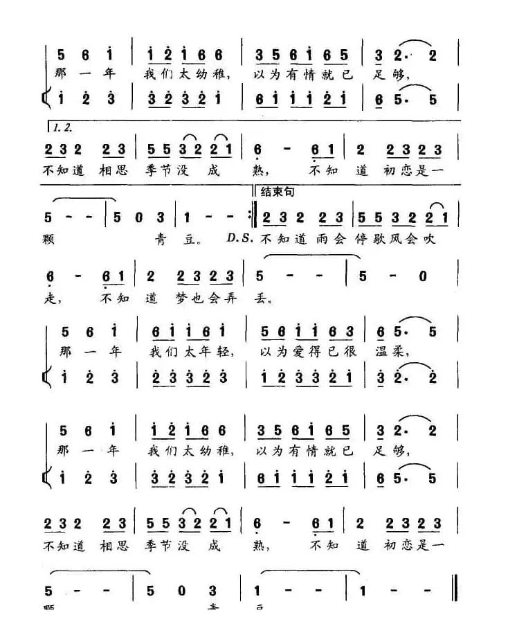 初恋是一颗青豆