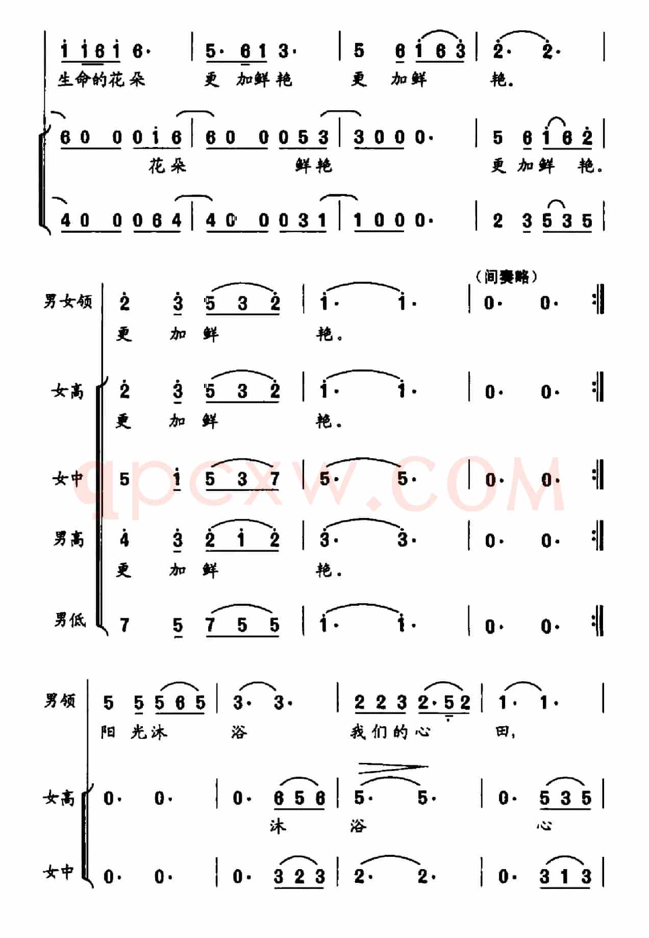 生命更精彩