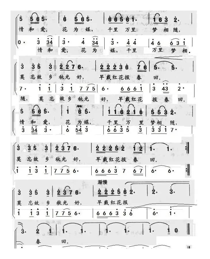 芦花（二声部）