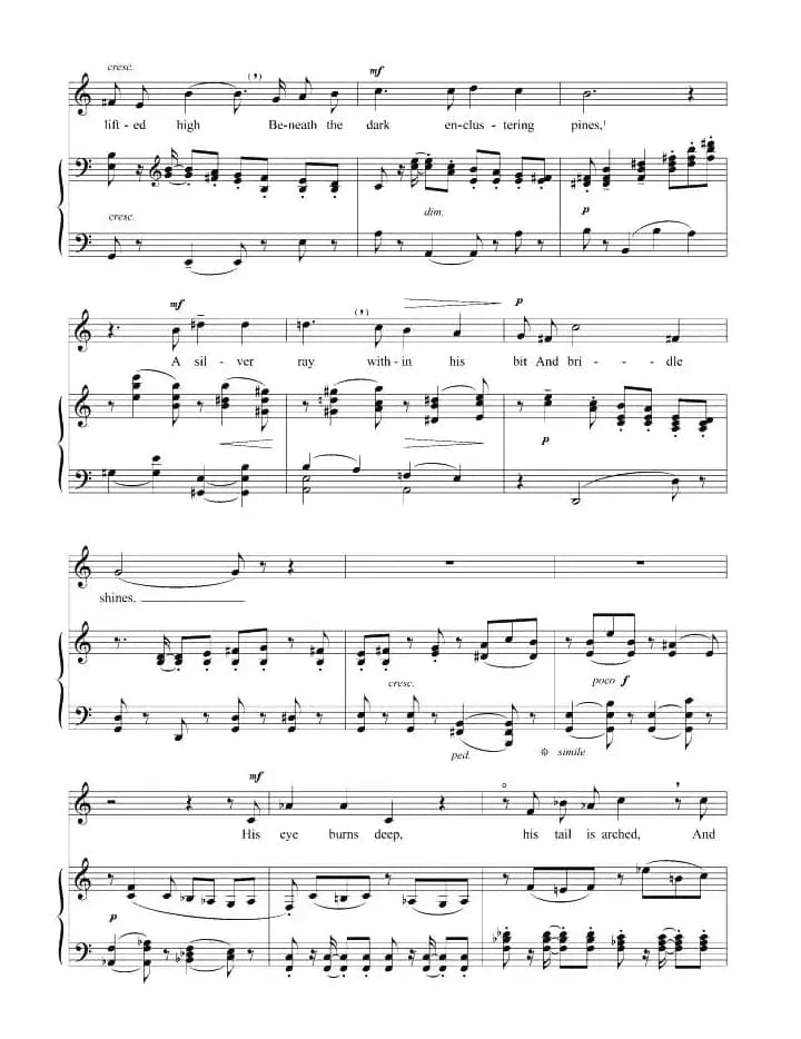 当苗条的索菲娅跨上她的骏马（正谱 [英、美]）