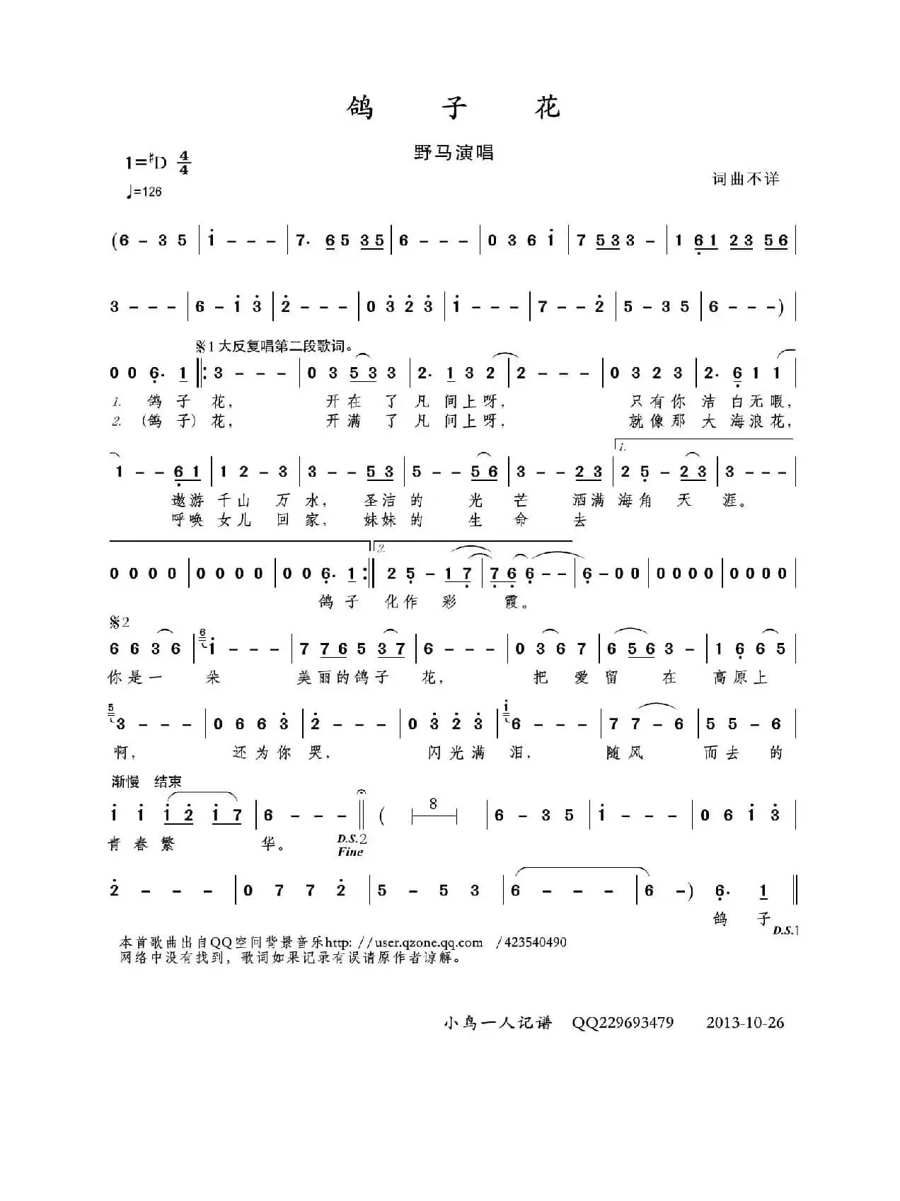 鸽子花（野马演唱版）