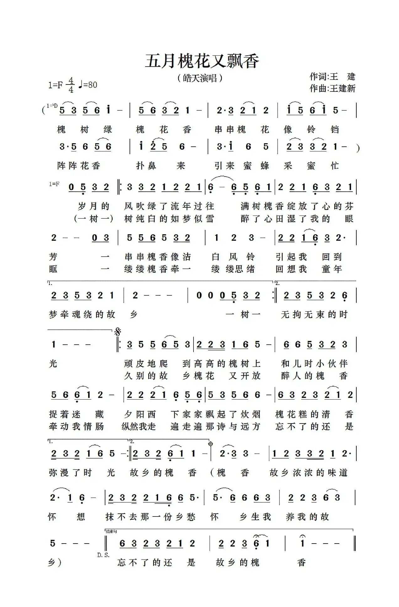 五月槐花又飘香