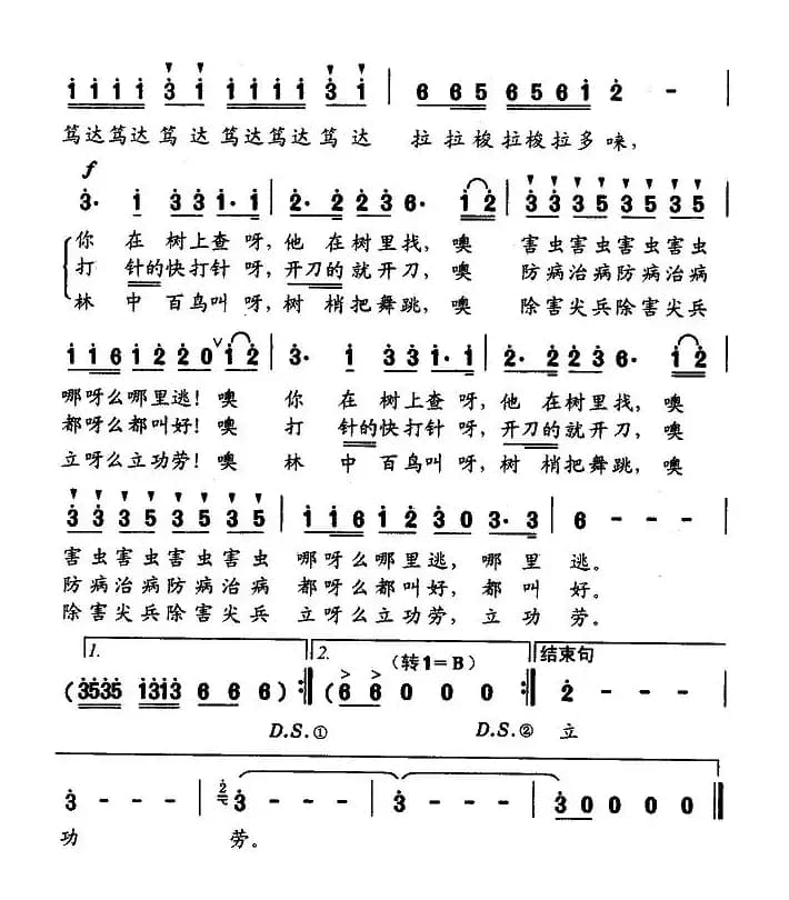 森林里飞来啄木鸟