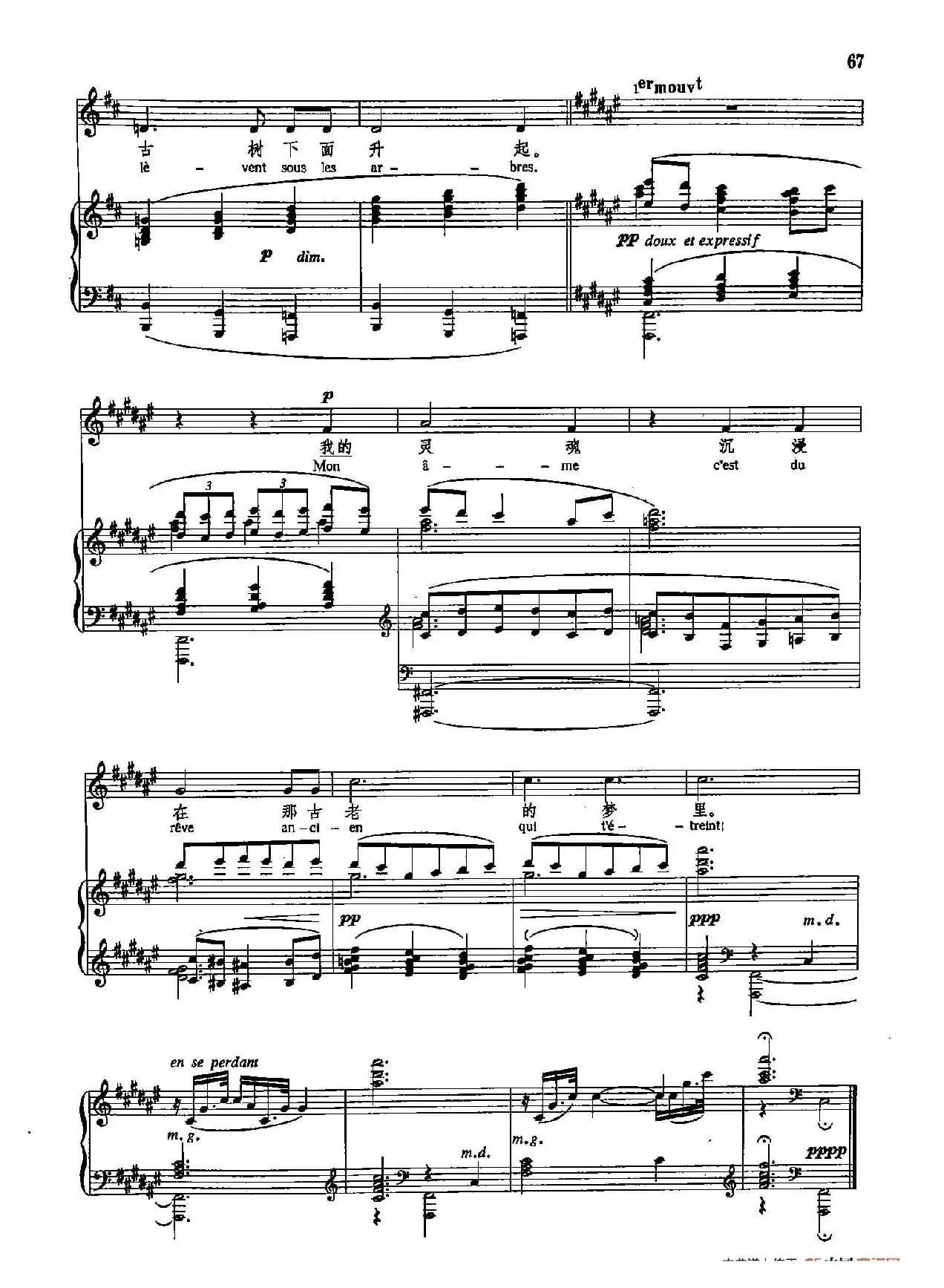 声乐教学曲库5-12梦（正谱）