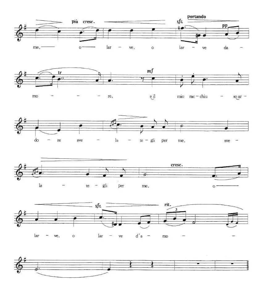  [意] 围绕着我崇拜的人儿（五线谱）