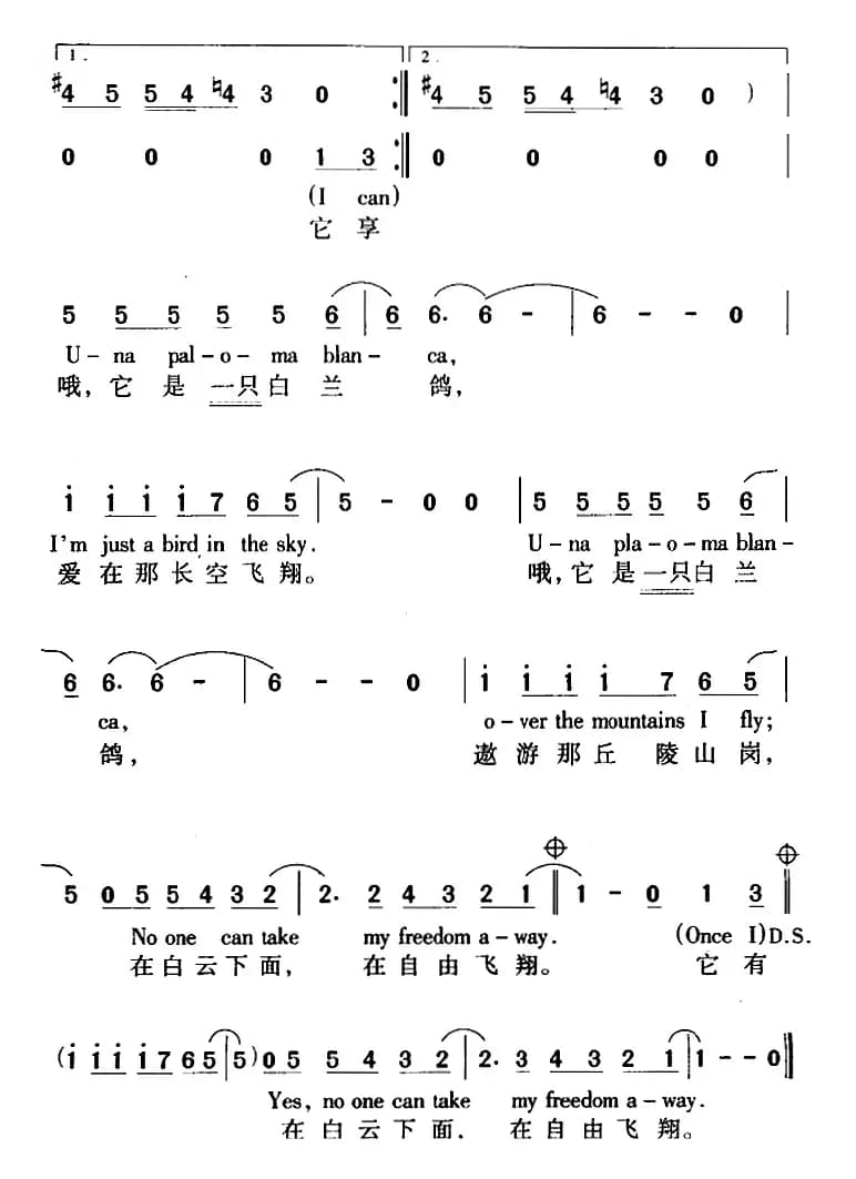 PALOMA BLANCA（白兰鸽）（ 中英文对照版）