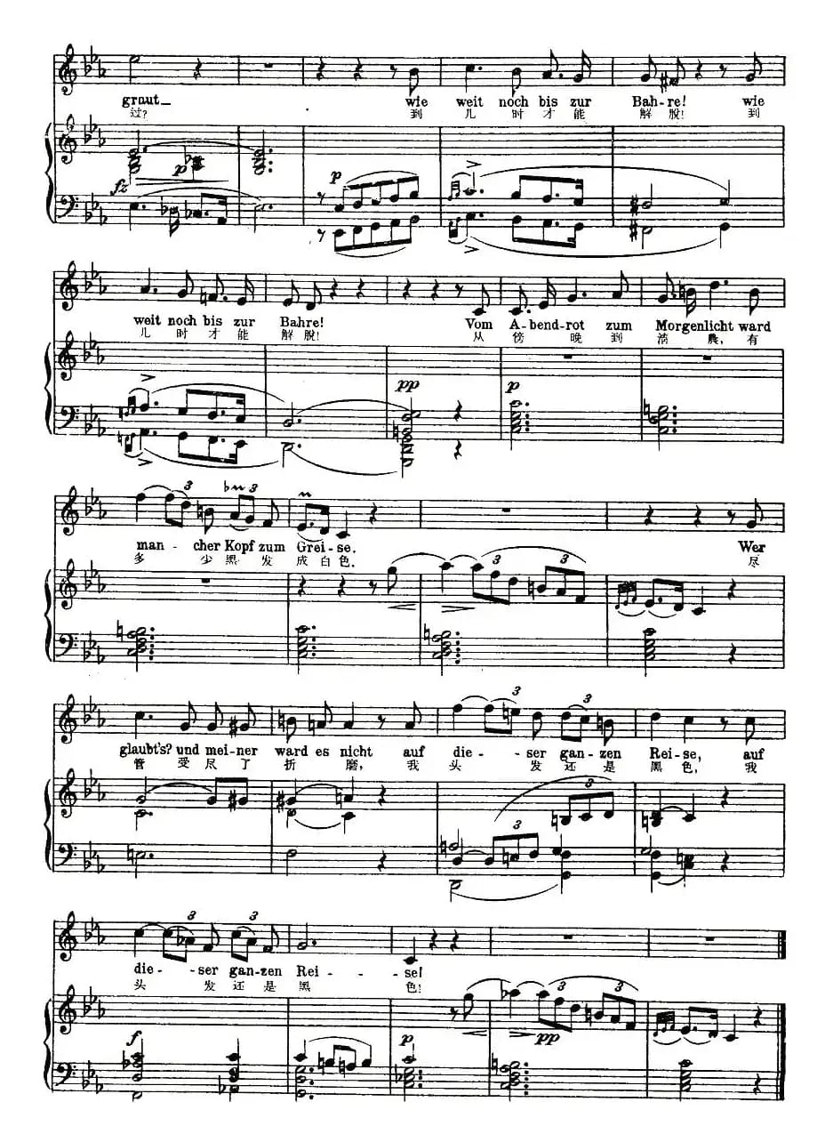 白发（中外文对照版、正谱 [奥]）