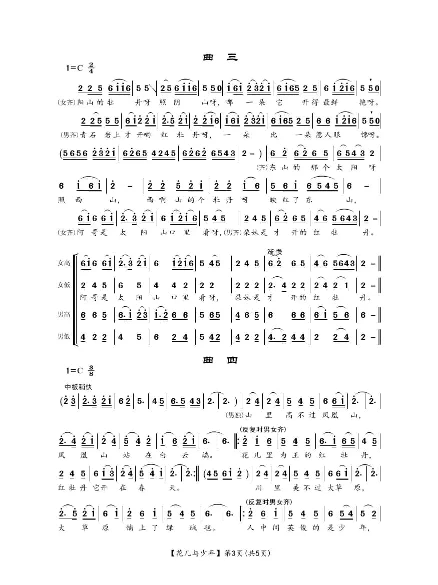 花儿与少年（民间歌舞）