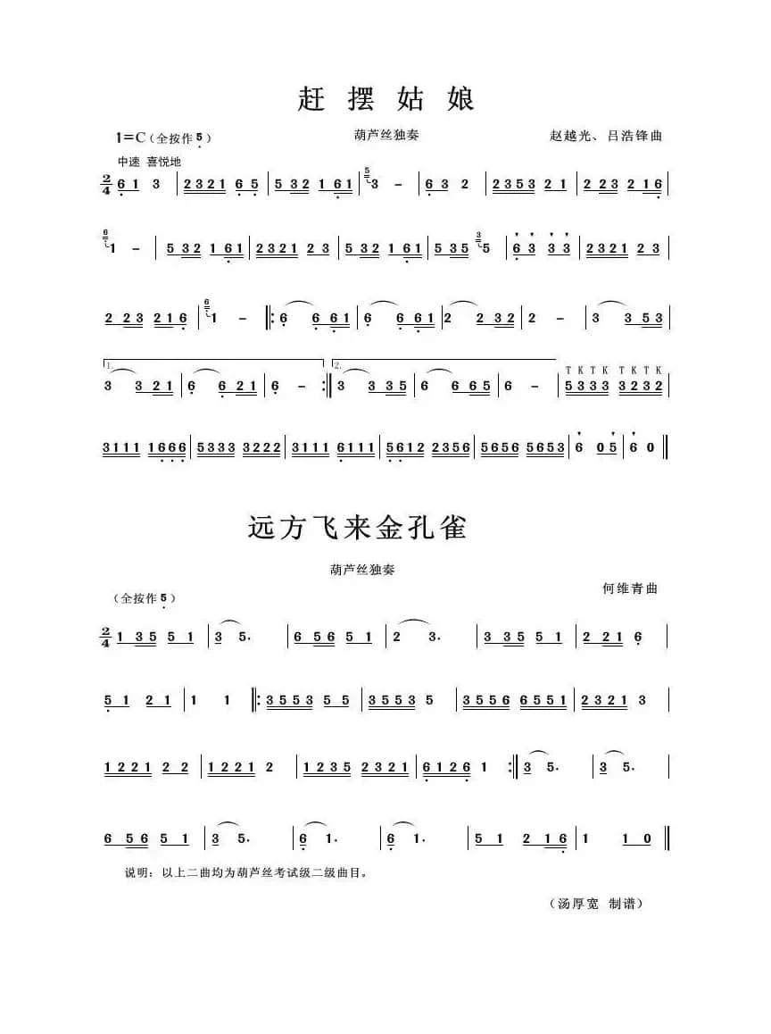 赶摆姑娘/远方飞来金孔雀（葫芦丝曲二首）