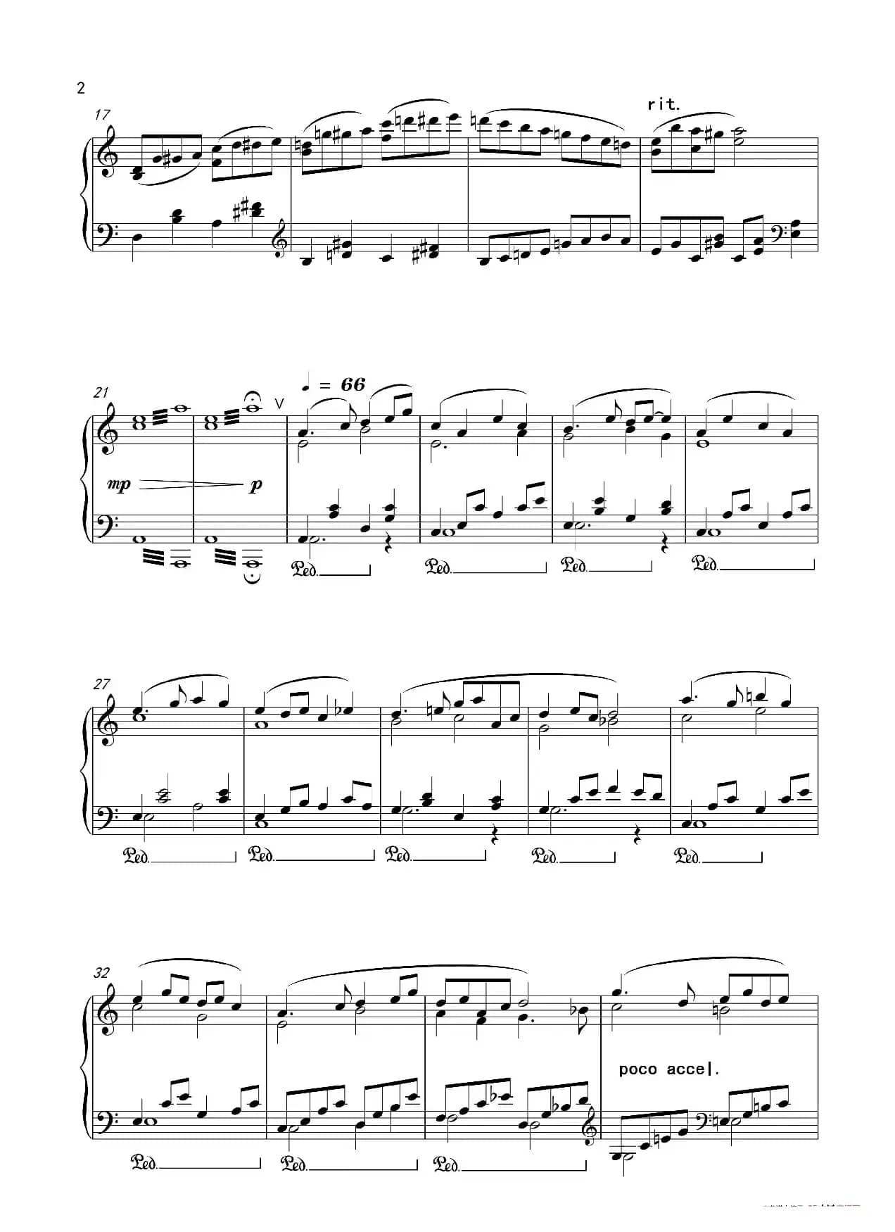 小猫的探险之旅