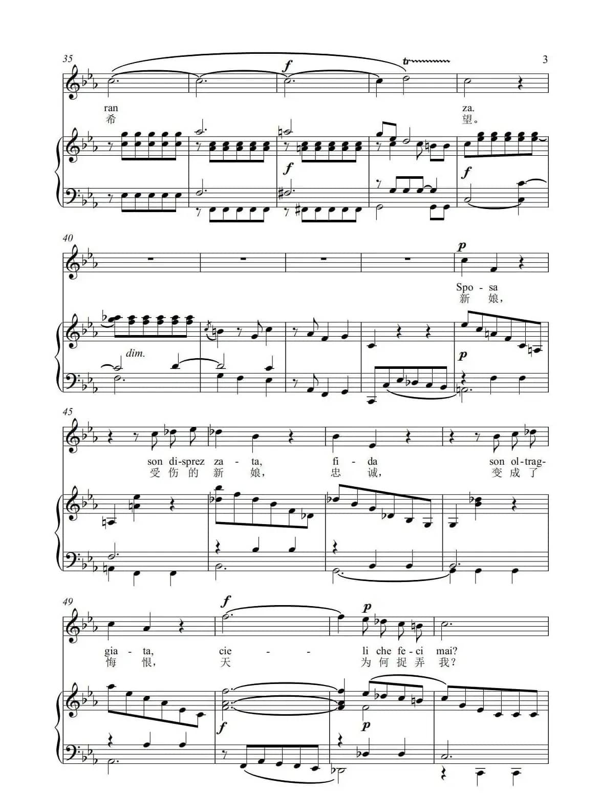 《受伤的新娘》