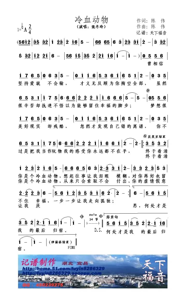 冷血动物（陈伟 词曲）