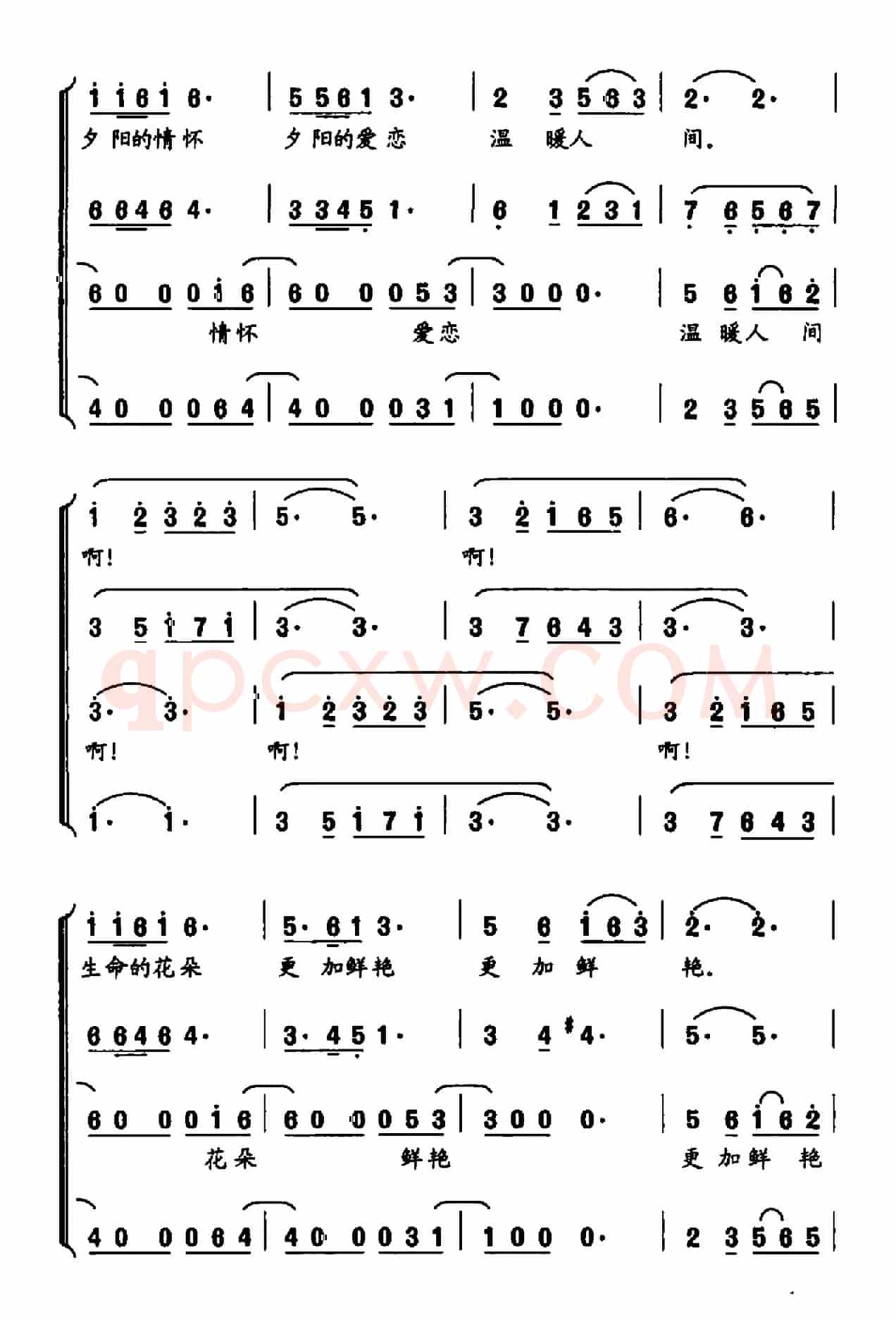 生命更精彩