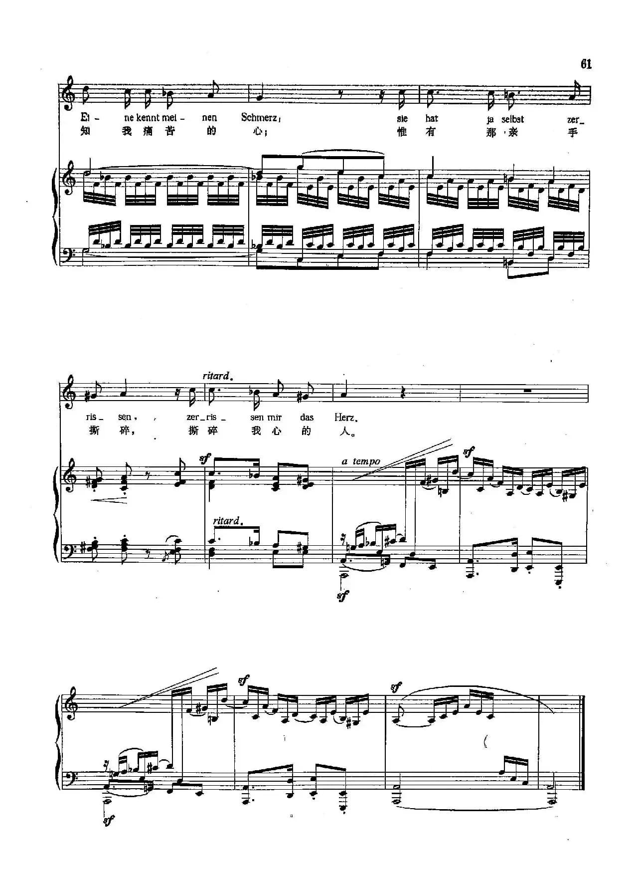 [德]20如果小小花儿能体会（正谱）