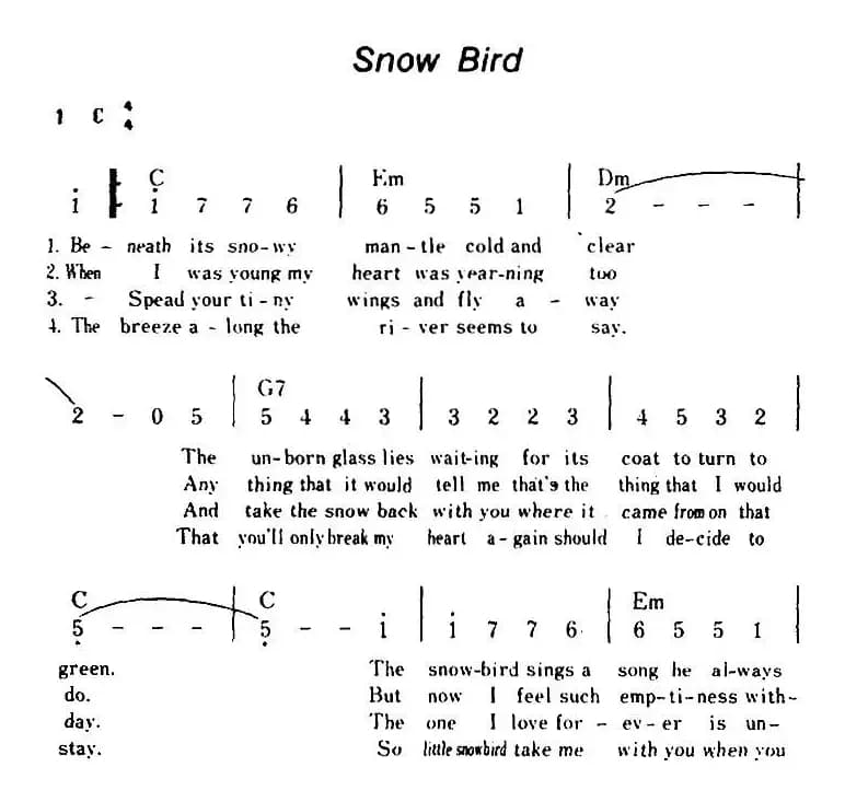 [美]Snow Bird（雪鸟、带和弦）