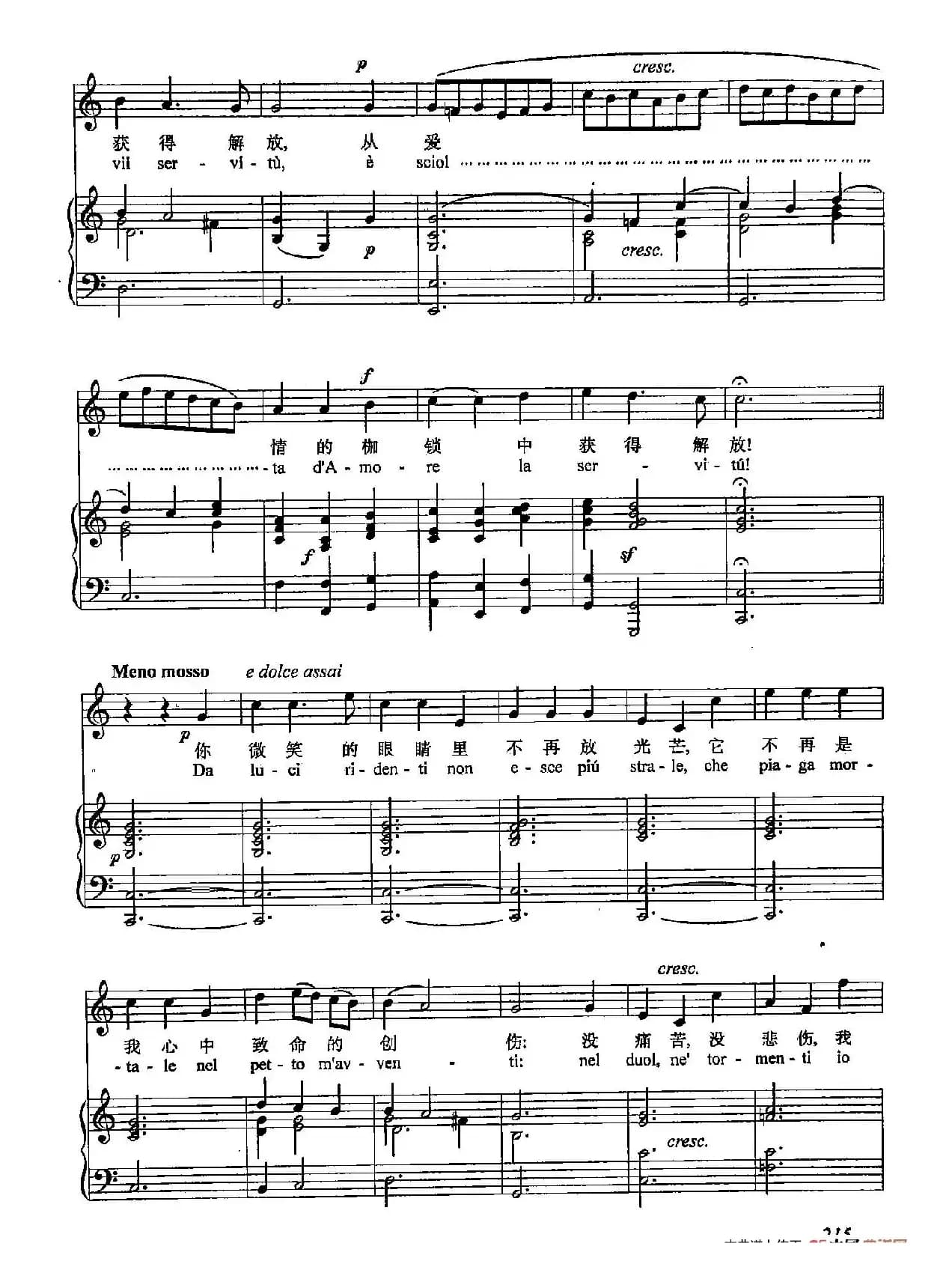 丁小琴编-67胜利啊！胜利啊！（正谱）