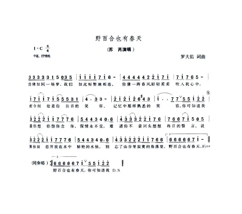 野百合也有春天