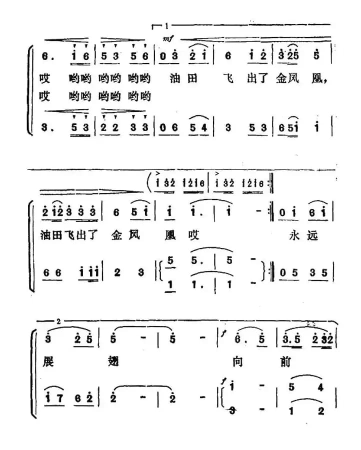 油田飞出了金凤凰