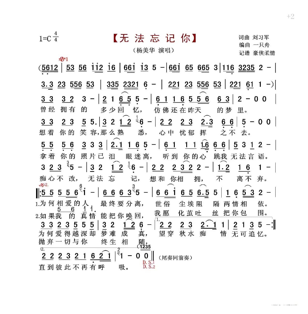 无法忘记你（杨美华）