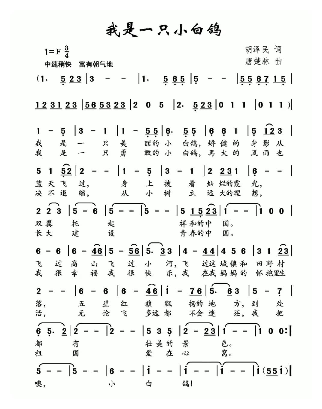 我是一只小白鸽